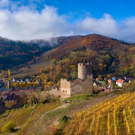 Le Belvedere Du Blanc * 奥尔贝