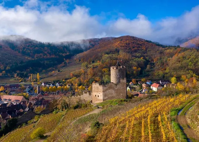 Le Belvedere Du Blanc * أوربي